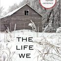 The Life We Bury Review