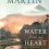 Water from My Heart: A Novel Review