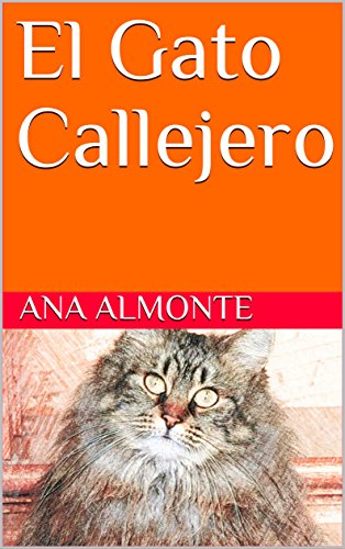 El Gato Callejero
